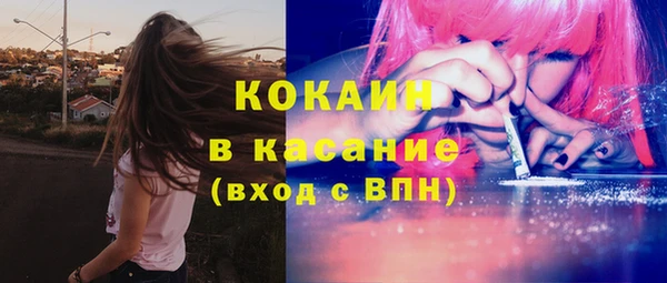 ПСИЛОЦИБИНОВЫЕ ГРИБЫ Алзамай