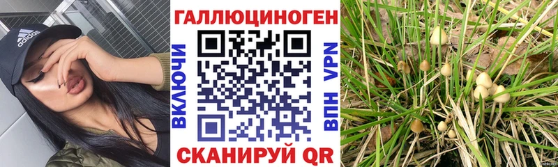 Галлюциногенные грибы GOLDEN TEACHER  мега онион  Крымск  где продают наркотики 