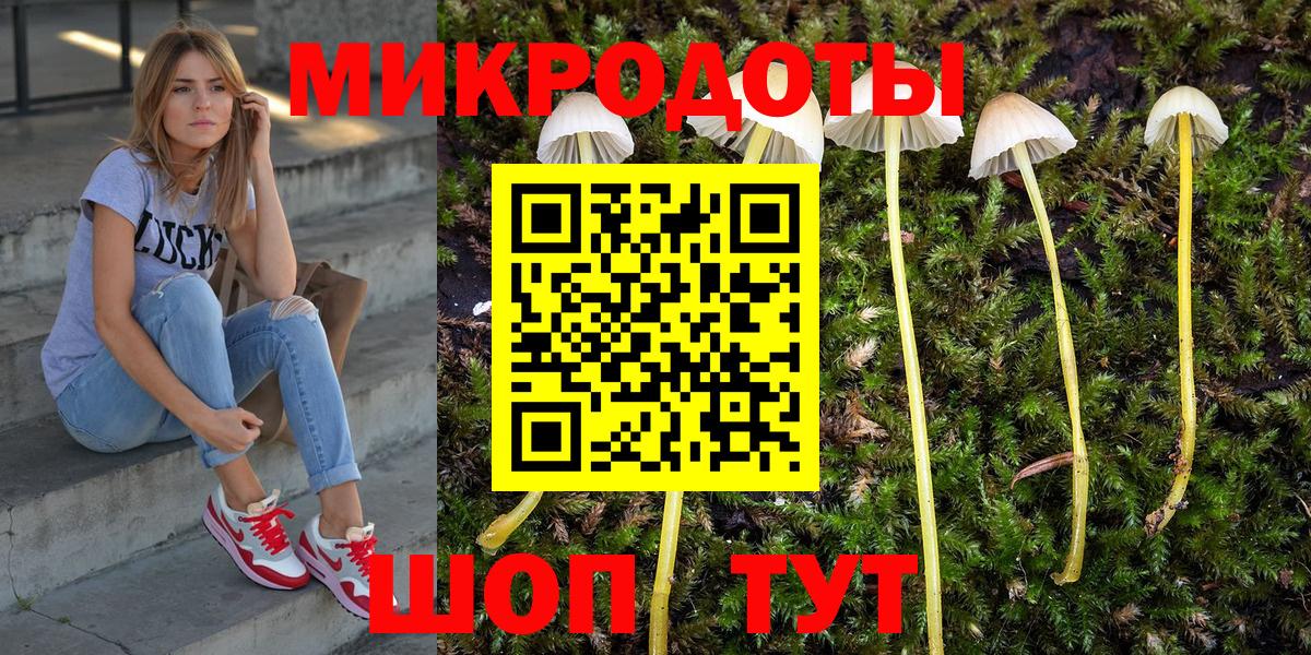 Галлюциногенные грибы прущие грибы Крымск