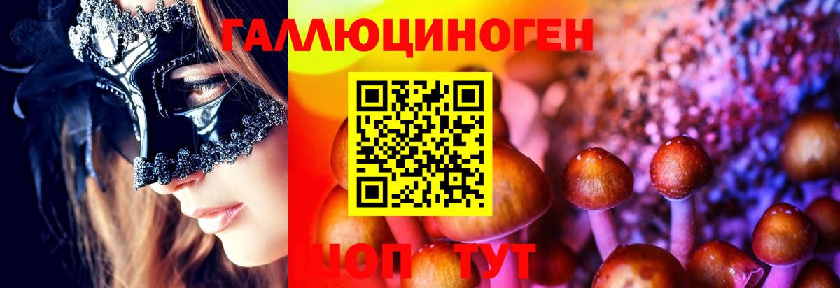 Галлюциногенные грибы GOLDEN TEACHER  Псилоцибиновые грибы Cubensis  Вход с VPN  Крымск 